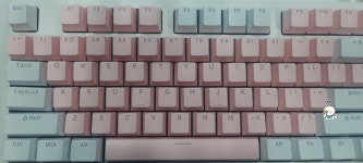 기계식 키보드 COX CK801-II : 용산제이컴