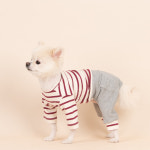 댕블리 강아지 올인원 강아지 올인원 실내복 봄옷 : 루비디 lubidy