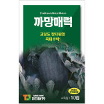 더드림 까망매력 수박씨앗 수박종자 / 고당도 장타원형 흑피 수박씨 10립 : 파이토팜