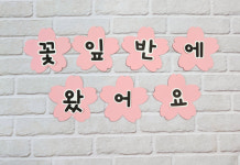 [벚꽃 글자 배경] 어린이집 유치원 환경구성 게시판 글자 : 땡스 공방