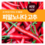 피알 노나다 고추 씨앗 15립  마이플랜트 : 마이플랜트