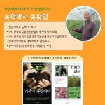 송광일 자연재배 유기농 한라봉 3kg 가정용 선물세트 : 베네핏유