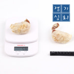 국내산 몽당 손질 절단꽃게 대사이즈 1kg (20조각내외) : 경기 상회