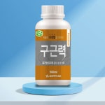 구근력 500ml 마늘 양파 비대제 코리아아그로 : 농사마트
