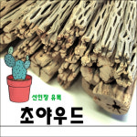 초야우드10cm,초야우드15cm,초야우드,장식품,유목,어항장식품,어항꾸미기 : 싸구려 수족관