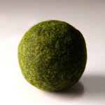 슈퍼 마리모 단품 수경식물 국산 : 세남자바스켓