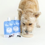 10개+1 설채현 펫밀크 이지밀크 노견 새끼 고양이 강아지 우유 간식 : 건강한생활82