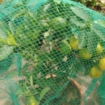 새망 새그물망 : 호두잡화점