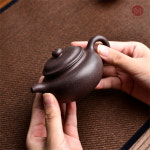 [자사호] 다도코리아 120cc 이싱 자사  자니 방고호 : 다도코리아