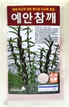 참깨씨앗/ 외대깨 가지깨씨앗/참기름짜기좋은참깨씨앗 : 농사쟁이
