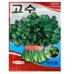 고수씨앗 300립 샹차이종자 코리안더씨 경신 : 씨앗의모든것