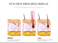30ML 100% 젠틀 천연 비어드 에센셜 오일 페이셜 모발 성장 및 수염 남성 미용 크림 : 깡통마켓몰
