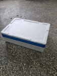 염장해파리10kg(태국산) : 진영물산