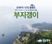 울릉도 부지깽이 부지갱이 나물 15kg 업소용 : 라이프 by 힐링스타일