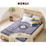 오쏠리 온열 전기매트 더블B 카르보네 / 탄소섬유 전기담요 물세탁가능 보관가방포함 : 산이좋은사람들