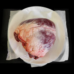 한우 국내산 소염통 반개 한개 손질없는 내장 곱창 대창 허파 흑양 냉동 구이 부산물 : 고기사줘삼촌