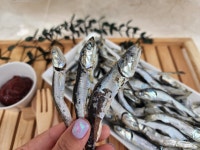 남해통영 국물멸치 육수용멸치 다시멸치1.5kg 가정용고급 대멸 : 어부의설레임