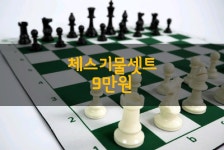 체스기물셋트 : 굿브레인 플레이