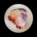 한우 국내산 소염통 반개 한개 손질없는 내장 곱창 대창 허파 흑양 냉동 구이 부산물 : 고기사줘삼촌