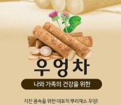송원식품 우엉차 100티 : 마트도매물류