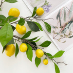 레몬트리 조화나무 가지 인테리어 소품 : 라라데코샵