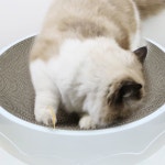 펫츠몬 고양이 더 커져 눕기 편한 원형 B골 스크래쳐 대형 51cm 화이트 1개 : 펫츠몬