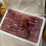 (흑산도 국내산 칠레산) 맛좋은 목포 삼촌네 홍어 1.7kg : 목포삼촌네홍어
