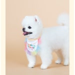 반려견 턱받이 강아지 고양이 넥프릴 애견 목수건 반려동물 스카프 케이프 : 데이데이온데이