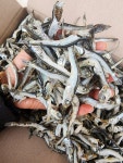 남해통영 국물멸치 육수용멸치 다시멸치1.5kg 가정용고급 대멸 고노리 곤어리 : 어부의설레임