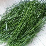 금강송,적송솔잎(생) 200g ,솔순(생)200g, 솔가지 솔잎(생) 200g -주문 당일 채취 발송 : 두위봉농산 야생약초나라