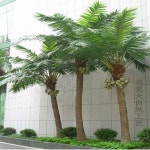 인공식물 YL 인조 코코넛 나무 실내 및 실외 쇼핑몰 대형 열대 녹색 식물 야자수 냄비 : OB몰