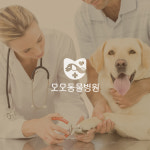 로고제작 동물 병원 펫샵 CI BI 브랜딩 브랜드 로고디자인 : 브랜디오