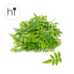 자스민 생잎 100잎 : 허브아이 herbi