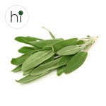세이지 허브 생잎 10g 30g : 허브아이 herbi