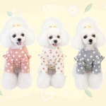 강아지 옷 고양이 실내복 봄옷 잠옷 가디건 애견의류 맨투맨 데일리 사계절 프릴하트 티셔츠 : 쿨냥이와핫도그