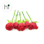 미니장미 생화 장식용 5송이 : 허브아이 herbi