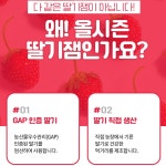 국산 딸기잼 진공농축 저칼로리 저당 코스트코 안단잼 딸기쨈 : 리치애플