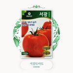 서광토마토 1000립 고급 품종 종자 팜한농 흥농씨앗 : 흥농상사