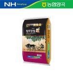 [농협양곡] 황토랑쌀 (천해진선향) 10kg / 2024년산 햅쌀 : 농협양곡