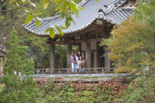 안동시티투어  봉정사 만휴정 낙강물길공원 월영교 : 안동먹탐시티투어