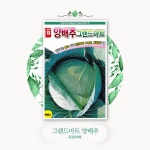 양배추 씨앗 500립 그랜드마트 종자 품종 : 흥농상사