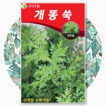 개똥쑥 씨앗 1만립 : 흥농상사