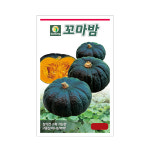 모두다 다농 채소씨 다농꼬마짱미니단호박씨앗(5립) : 모두다2023