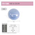 아이워너 미니 짐 볼 25 cm 펌프 포함 필라테스 스트레칭 요가 작은 원형 소품 공 : 구스벨