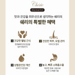 쉐리 시그니처 고양이 그레이비 간식 캔 참치+연어, 80g, 24개 : 신묘한냥이