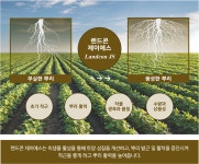 랜드콘 제이에스 2L 뿌리 발근제 미생물 글로벌아그로 : 농사마트