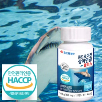 코오롱제약 콘드로이친 상어연골 플러스 1350mg x 120정 : 행운머니