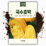 국수호박씨앗 30립 스파케티 호박 씨앗 종자 : 씨앗팜