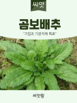 곰보 배추씨앗 1000립 국내채종 종자 : 씨앗팜