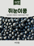 쥐눈이콩 씨앗 30g 서목태 종자 : 씨앗팜
